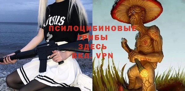 скорость Алзамай
