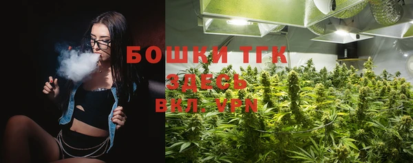 мет Алексин