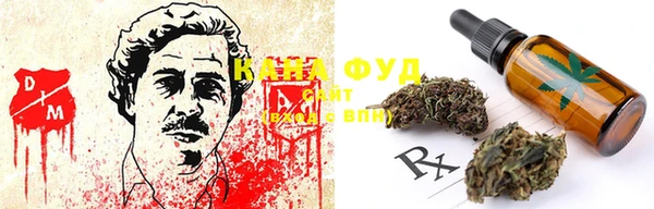 мет Алексин