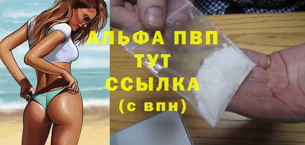 мет Алексин