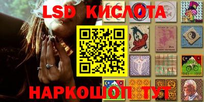 крисы Гусев