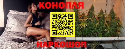 крисы Гусев