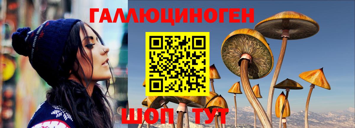 Галлюциногенные грибы MAGIC MUSHROOMS Чистополь