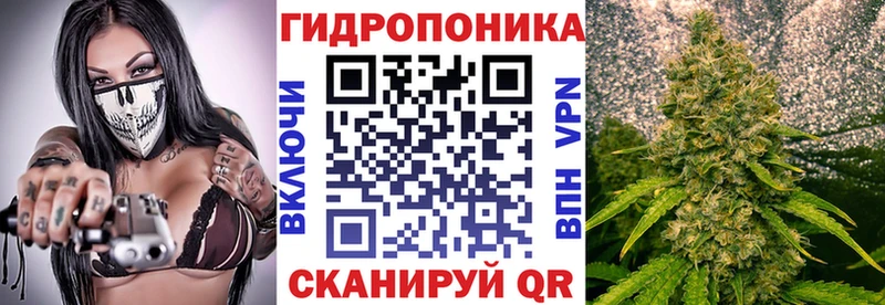 наркотики  Чистополь  Бошки Шишки Ganja 